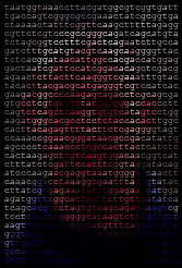 Une photo ASCII de Guti